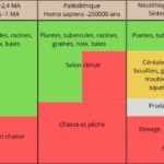 Histoire d’alimentation humaine