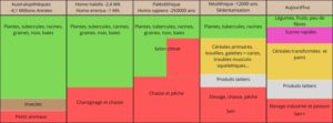 Histoire d’alimentation humaine