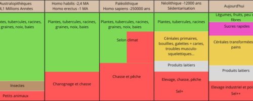 Histoire d’alimentation humaine